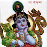 हिंदी संस्कृत