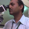 Ravindra Singh
